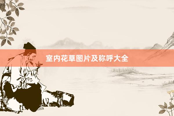 室内花草图片及称呼大全
