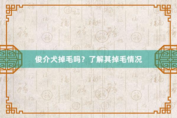 俊介犬掉毛吗？了解其掉毛情况
