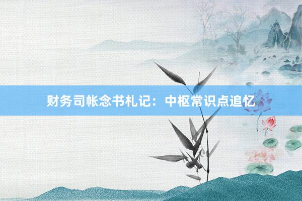财务司帐念书札记：中枢常识点追忆